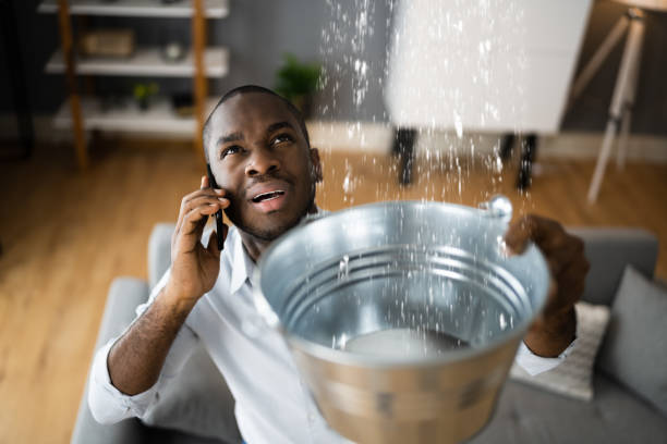 Best Commercial water damage restoration  in South El Monte, CA