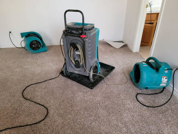 Best Emergency water extraction  in South El Monte, CA