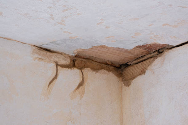 Best Water damage restoration mold remediation  in South El Monte, CA