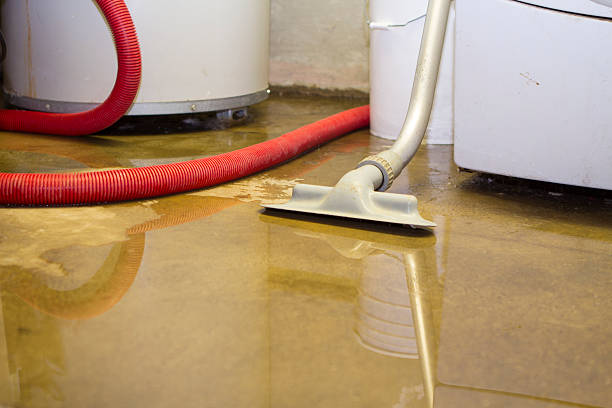 Best Flood damage cleanup  in South El Monte, CA